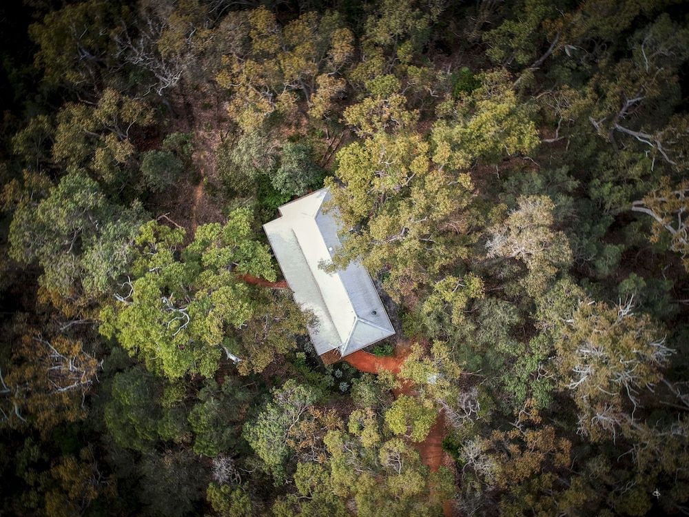Forest Rise