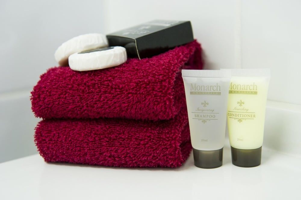 Cherry Blossom Motel Twin Room 8