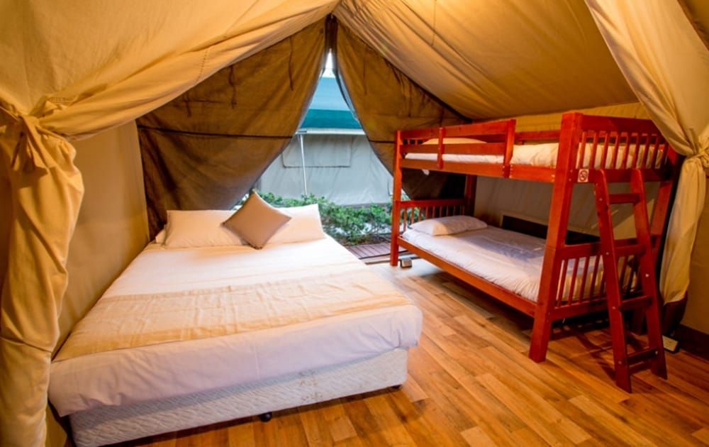 Standard Safari Tents