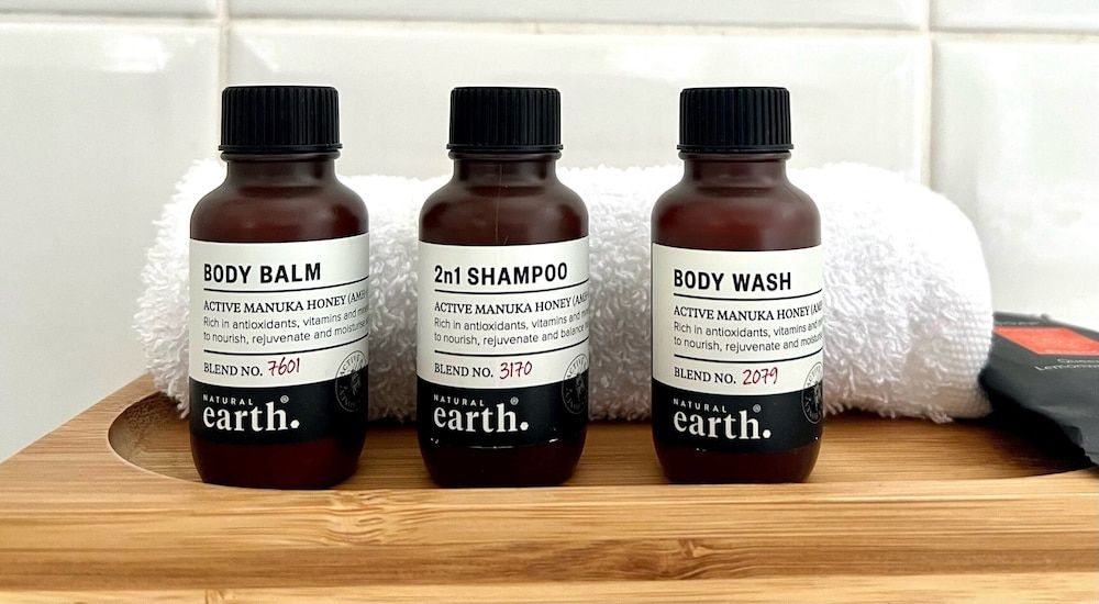 Bathurst Motor Inn Executive Room 6