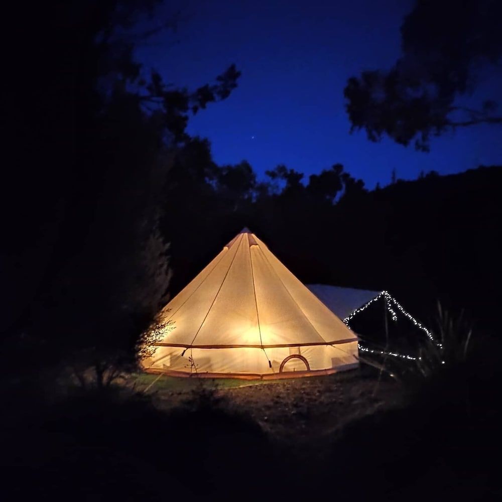 Zeehan Bush Camp Luxury Tent, 1 Queen Bed 3