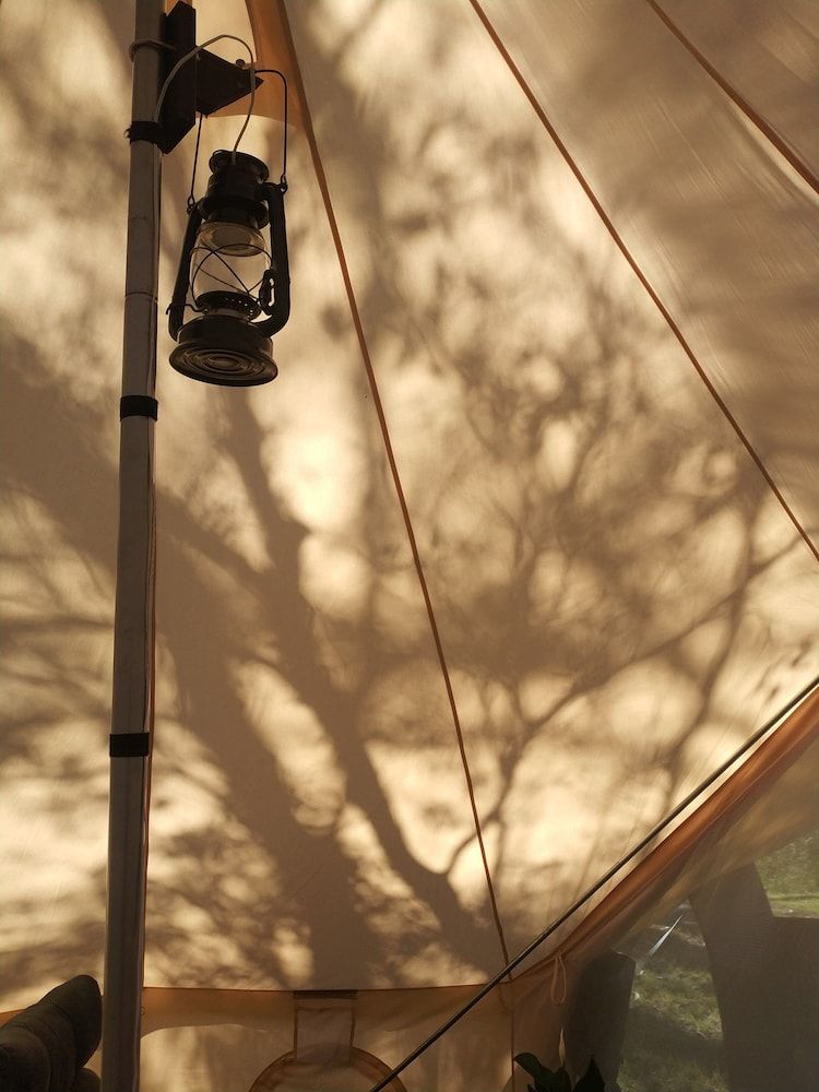 Zeehan Bush Camp Luxury Tent, 1 Queen Bed 4