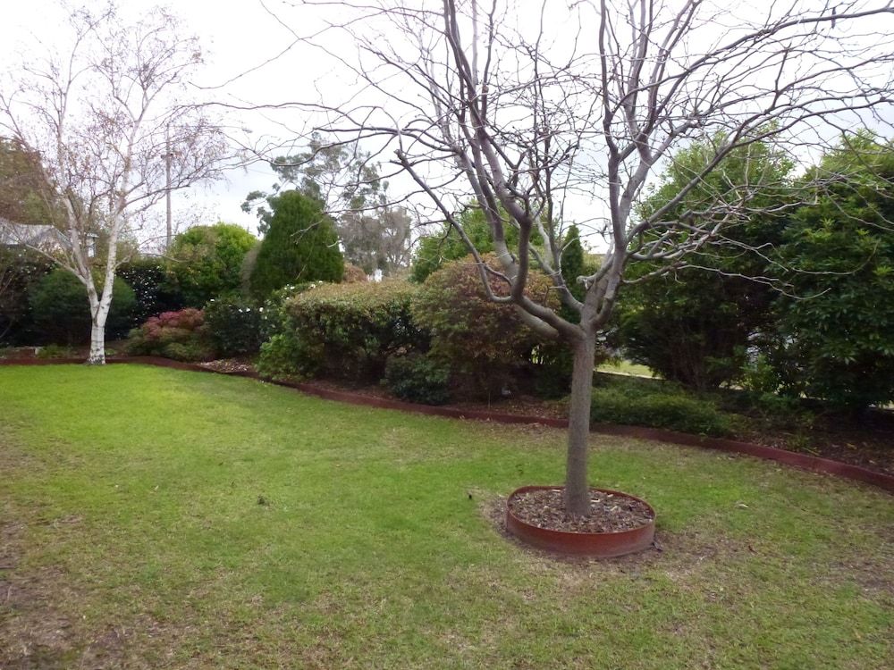 Colonial Motor Inn Bairnsdale Queen and Single (Twin) 10