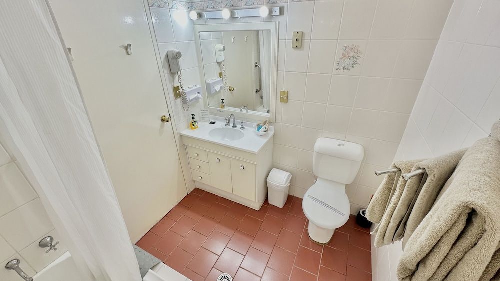 Golden Grain Motor Inn Deluxe Double Room 4