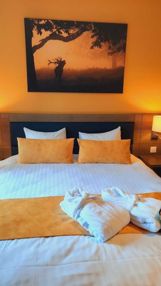 Azur en Ardenne Comfort Double or Twin Room 2