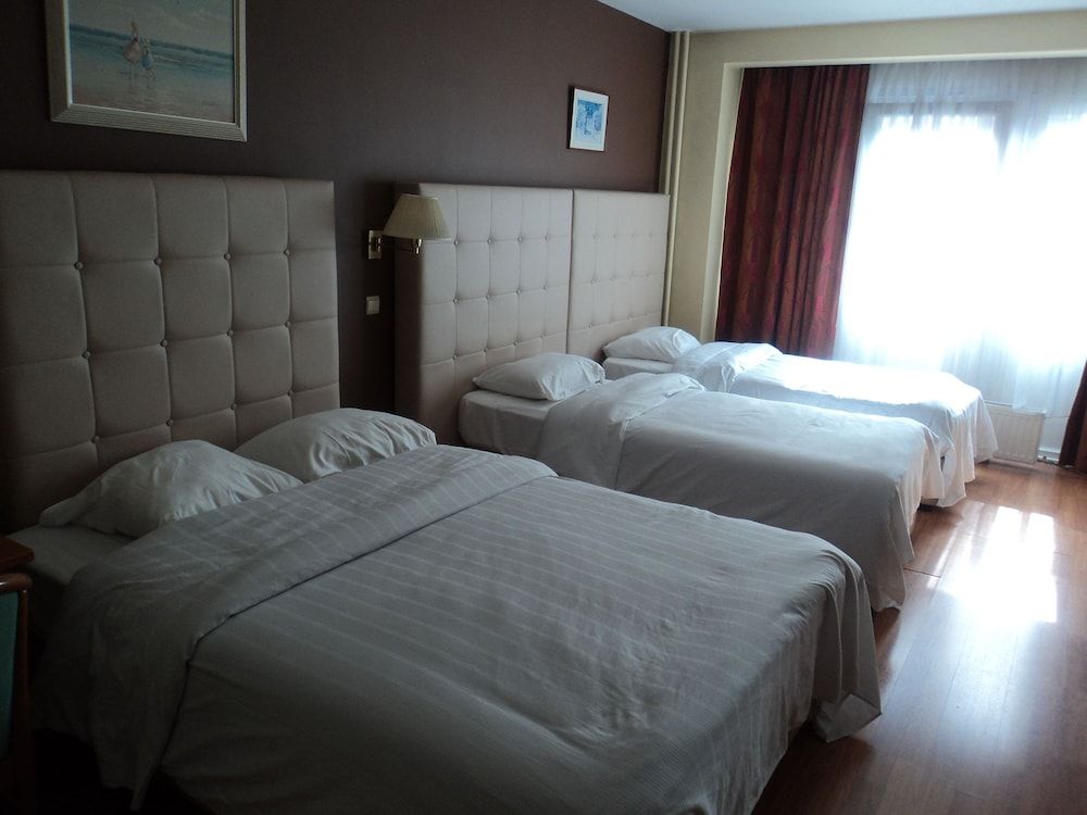 undefined Hotel Albert 9