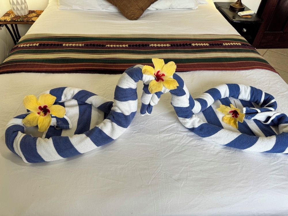 Caribbean Shores Bed & Breakfast Deluxe Apartment 5