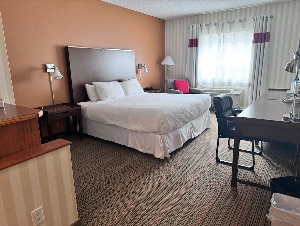 Standard Room, 1 King Bed, Accessible