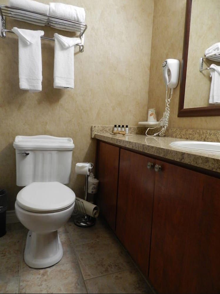 Junior Suite, 1 King Bed with Sofa bed, Non Smoking, Jetted Tub