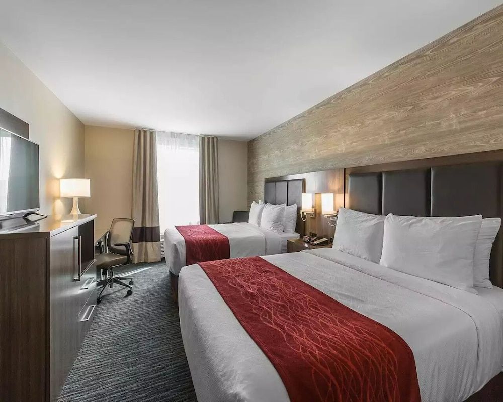 undefined Comfort Inn & Suites Airport North 10