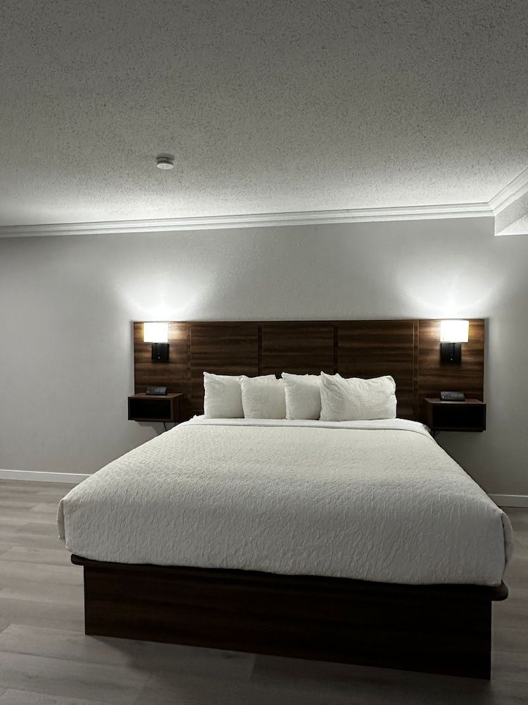 Premium Room, 1 King Bed, Kitchenette