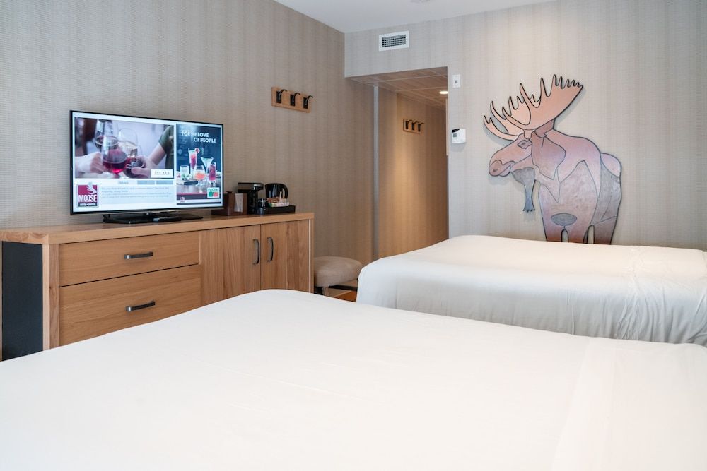 Moose Hotel And Suites Superior Hotel Room 2 Queen 3