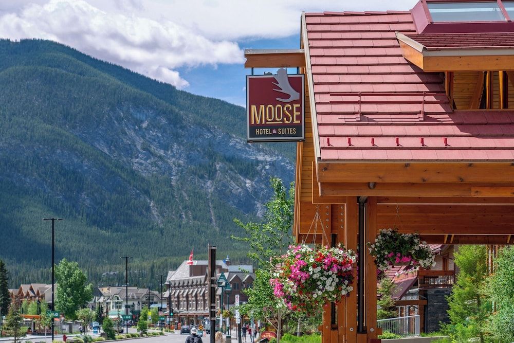 undefined Moose Hotel And Suites 7