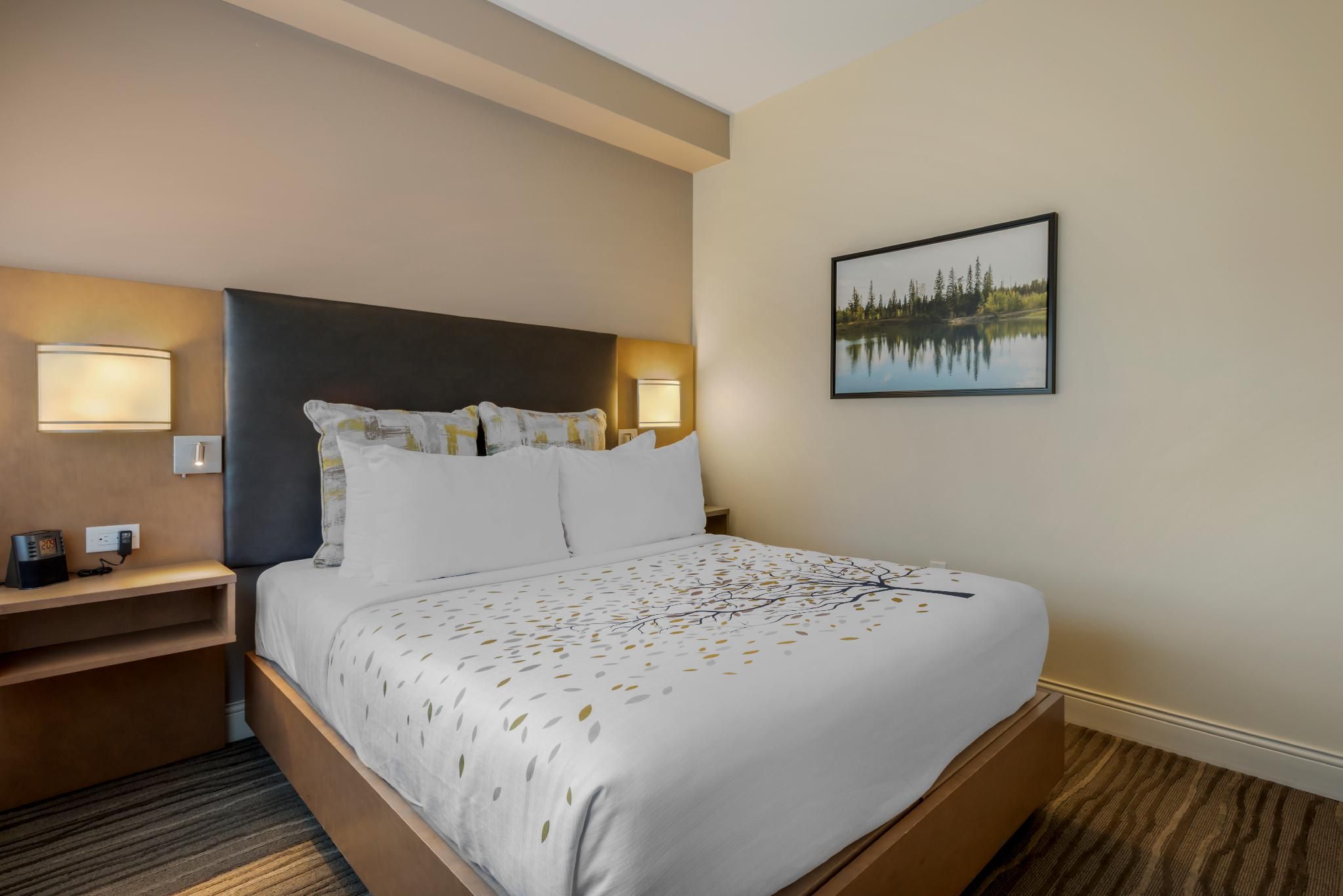 Suite - 1 Queen Bed, Nonsmoking, Kitchenette, Washer And Dryer, Shower Only