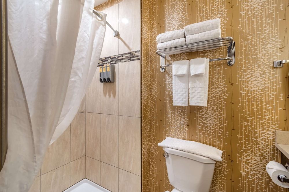 Best Western Plus Kindersley Hotel Standard Room, 1 King Bed, Accessible, Kitchenette (Walk-in Shower;with Sofabed) 6