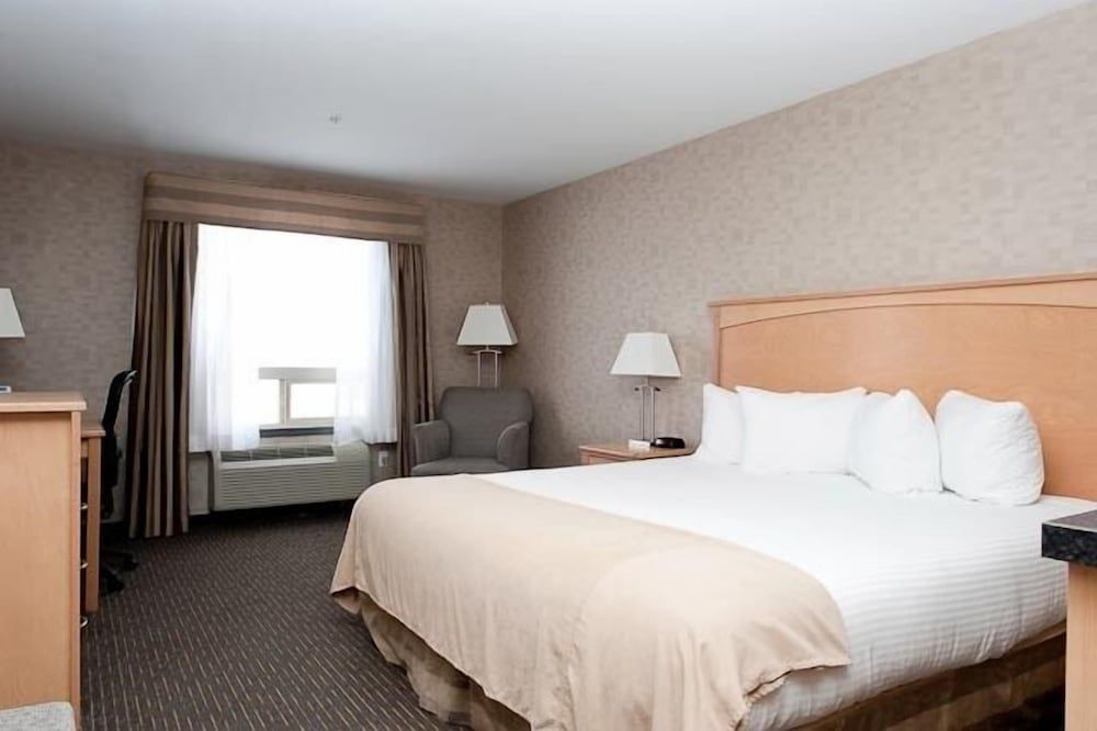 Paradise Inn & Suites Valleyview Standard Room, 1 King Bed, Non Smoking 2