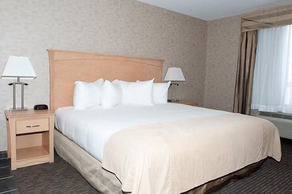 Paradise Inn & Suites Valleyview Standard Room, 1 King Bed, Non Smoking 3