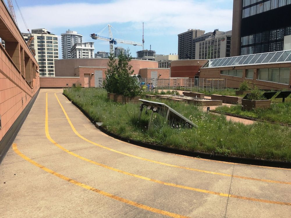 undefined Altitude Suites on Yonge 10