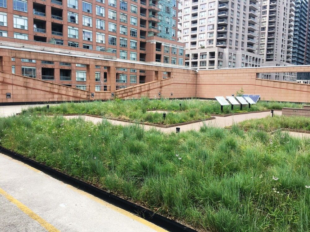 undefined Altitude Suites on Yonge 9