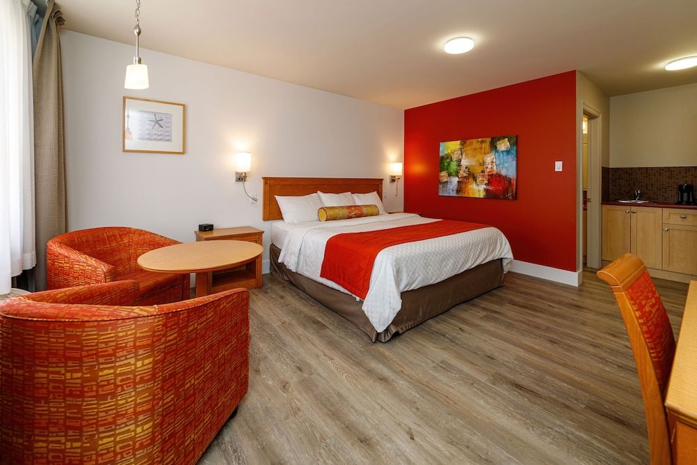 Studio, 1 King Bed