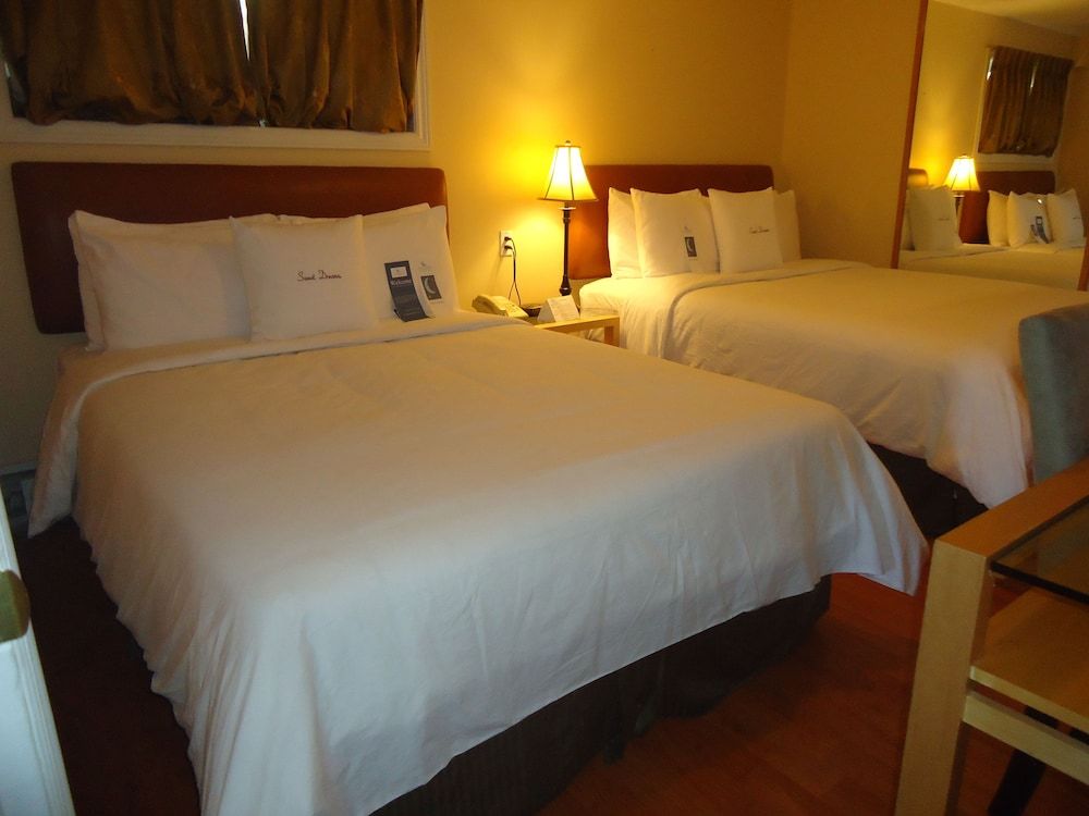 One Bedroom Suite, Lake View