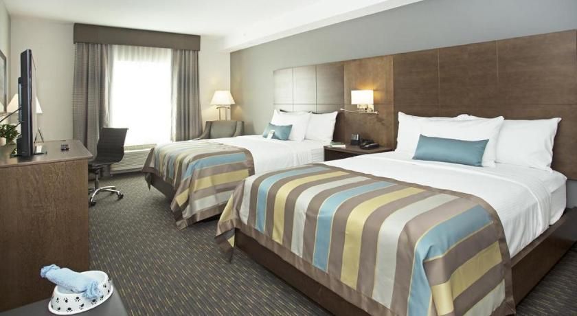 undefined Wingate By Wyndham Calgary Airport 3