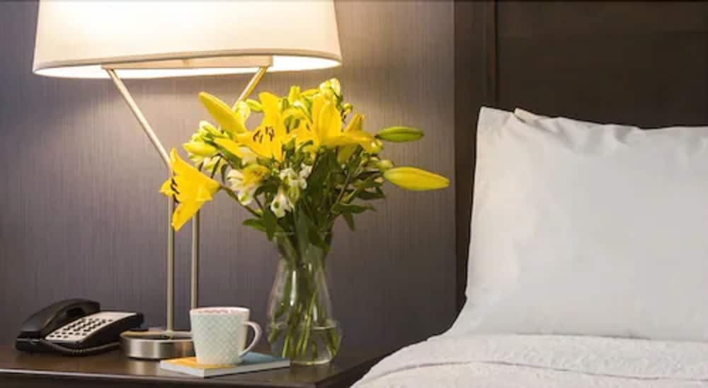 undefined Hampton Inn by Hilton Ottawa Airport, ON, CN 7