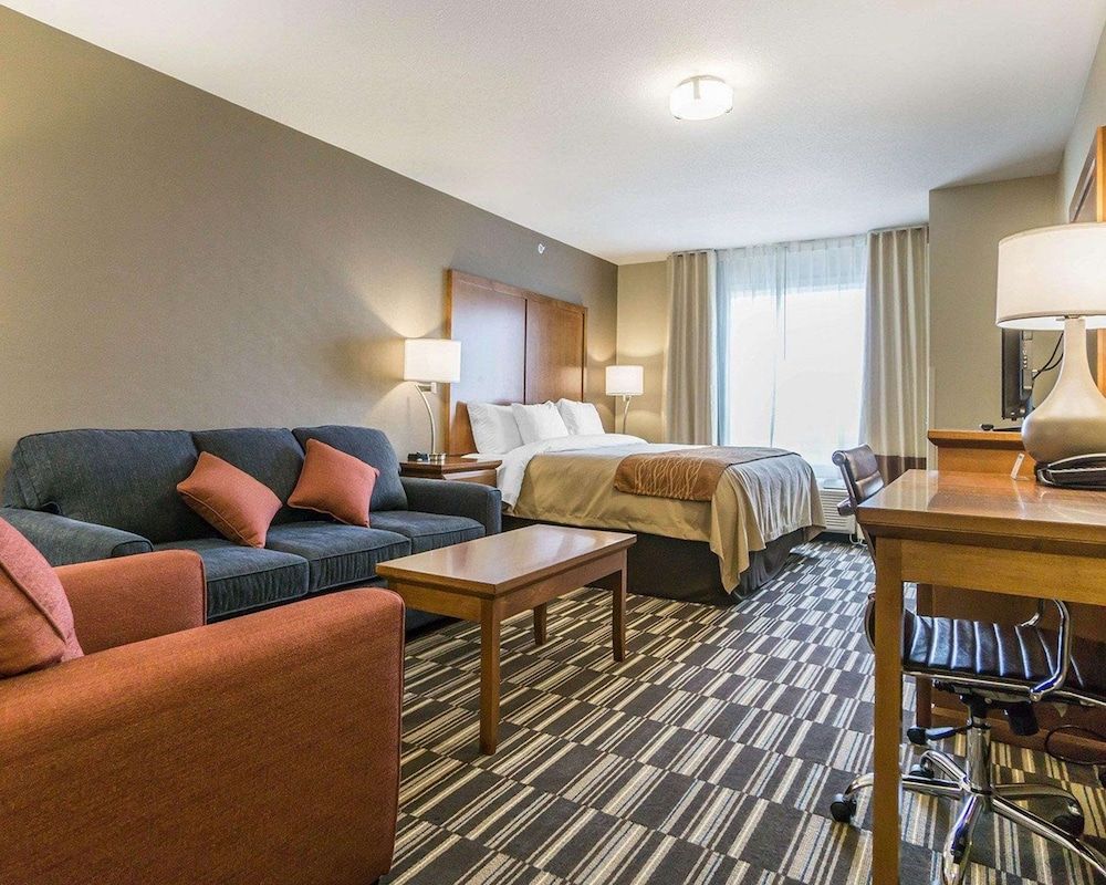 Executive Suite, 1 King Bed with Sofa bed, Non Smoking