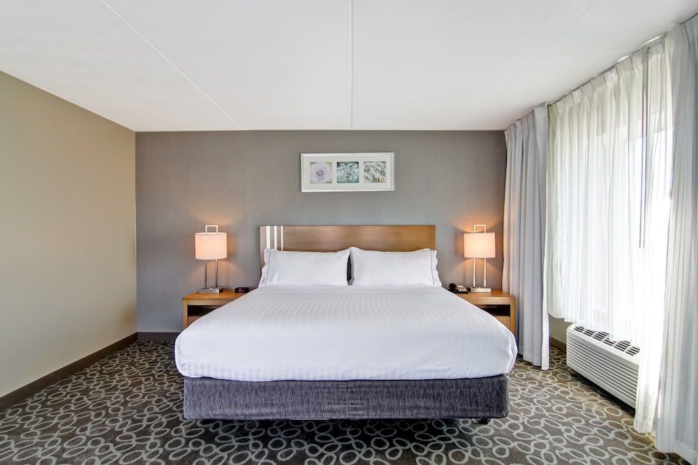 Suite, 1 King Bed with Sofa bed