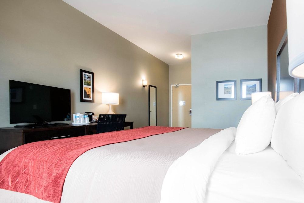 Standard Room, 1 King Bed, Non Smoking