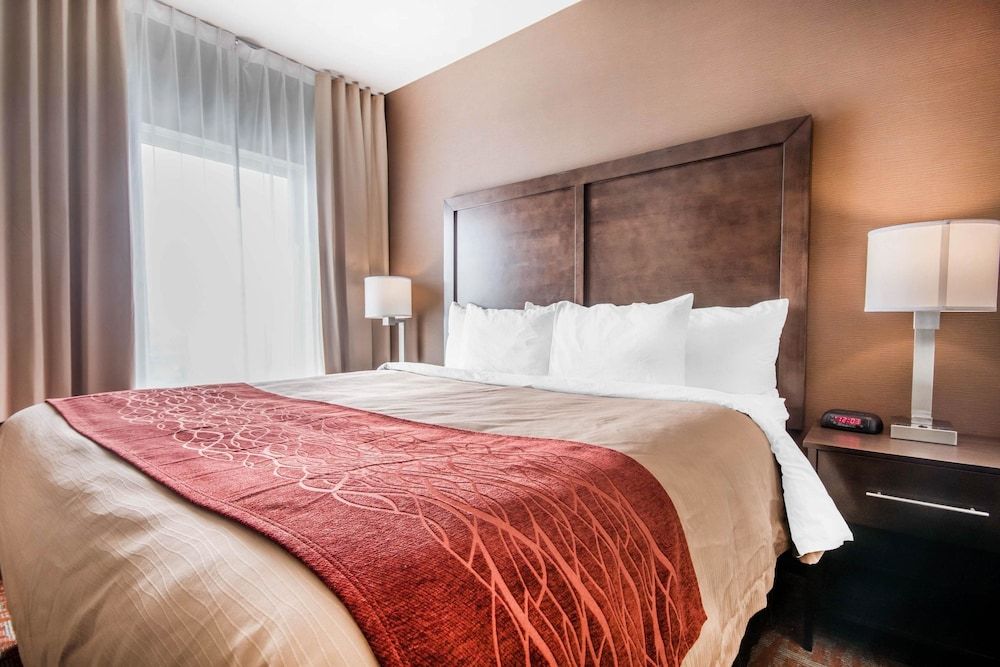 Standard Room, 1 King Bed, Non Smoking