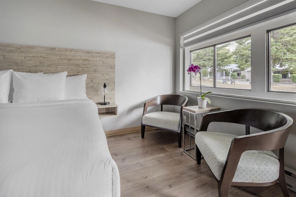 Danny’s Hotel Suites, SureStay Collection by Best Western Standard Room, 1 King Bed, Non Smoking, Refrigerator & Microwave 2