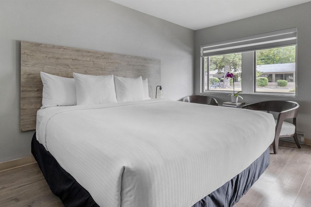 Danny’s Hotel Suites, SureStay Collection by Best Western Standard Room, 1 King Bed, Non Smoking, Refrigerator & Microwave 3