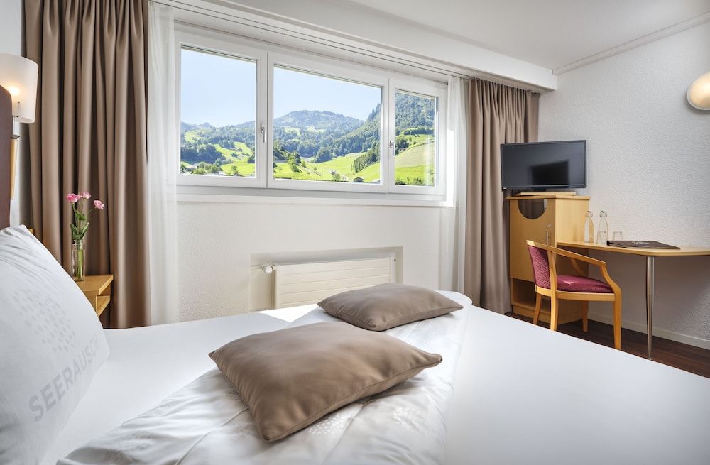 Comfort Double or Twin Room, Mountain View