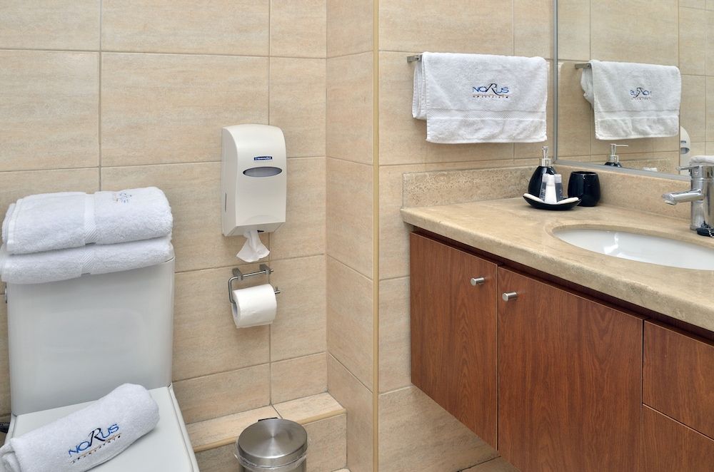 Norus Providencia Apartment, 1 Bedroom 13