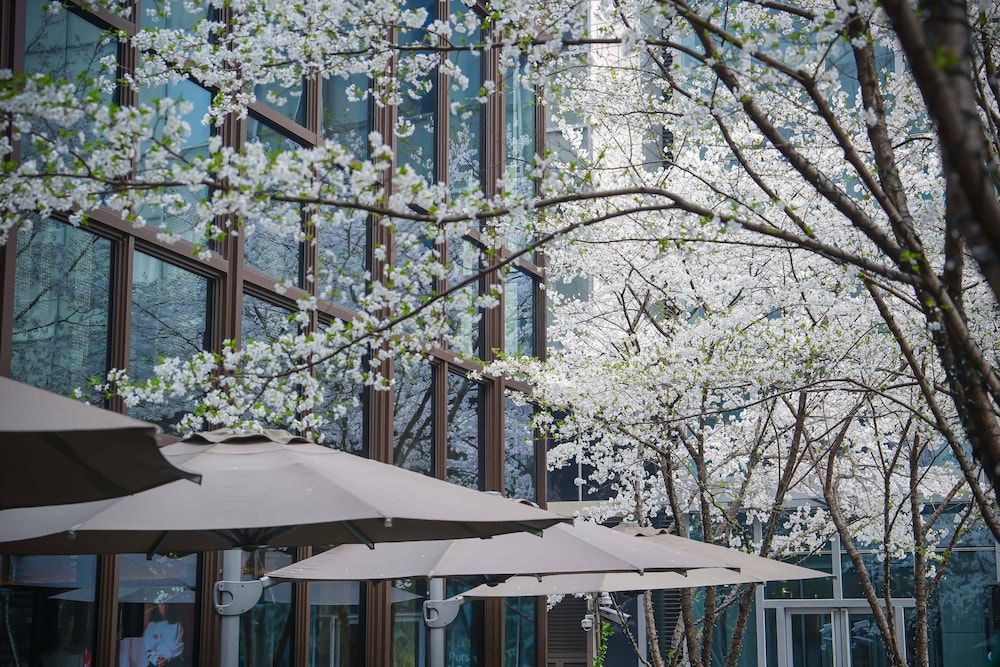 undefined Midtown Shangri-La, Hangzhou 4