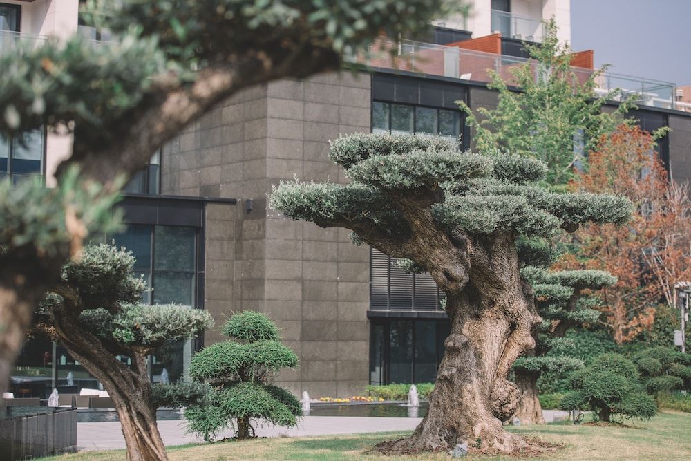 undefined The Anandi Hotel and Spa Shanghai 7