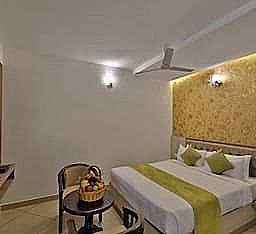 Tea Castle Resort Executive Room