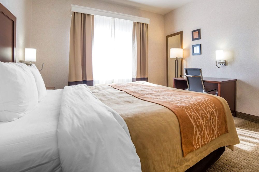 Standard Room, 1 King Bed, Non Smoking