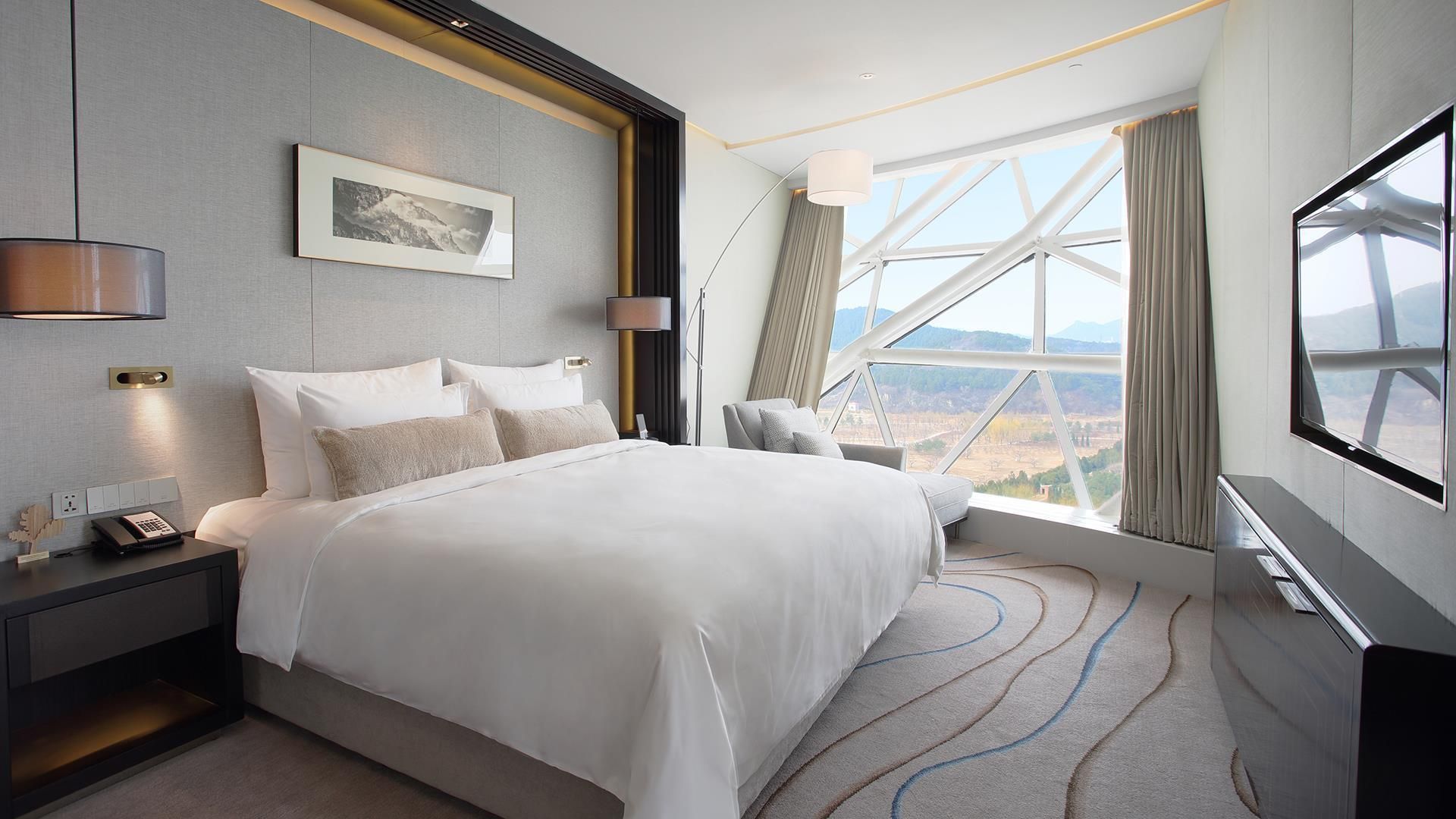 Premier Suite, Suite, 1 King, City view