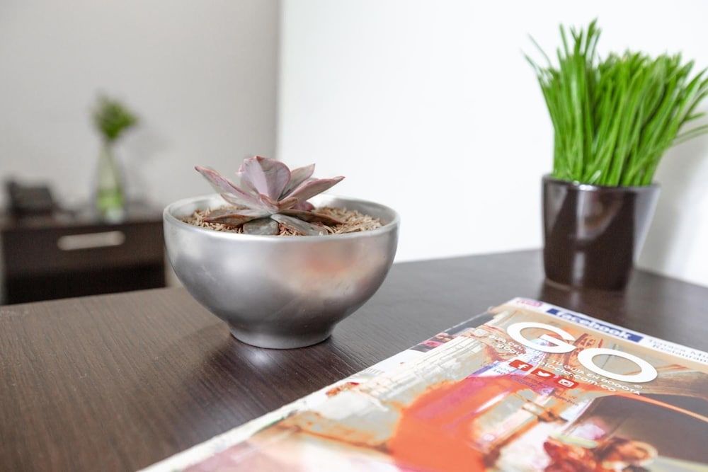 undefined Casa Quinta Embajada 10