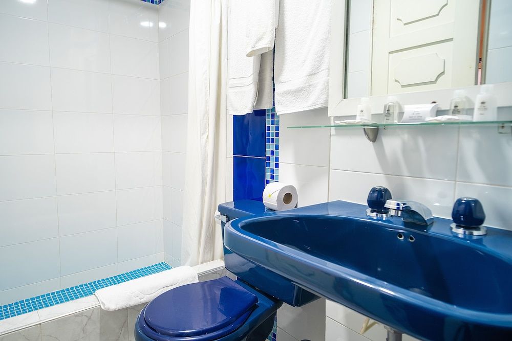 Hotel Virrey Central Standard Room, 1 Double Bed 4