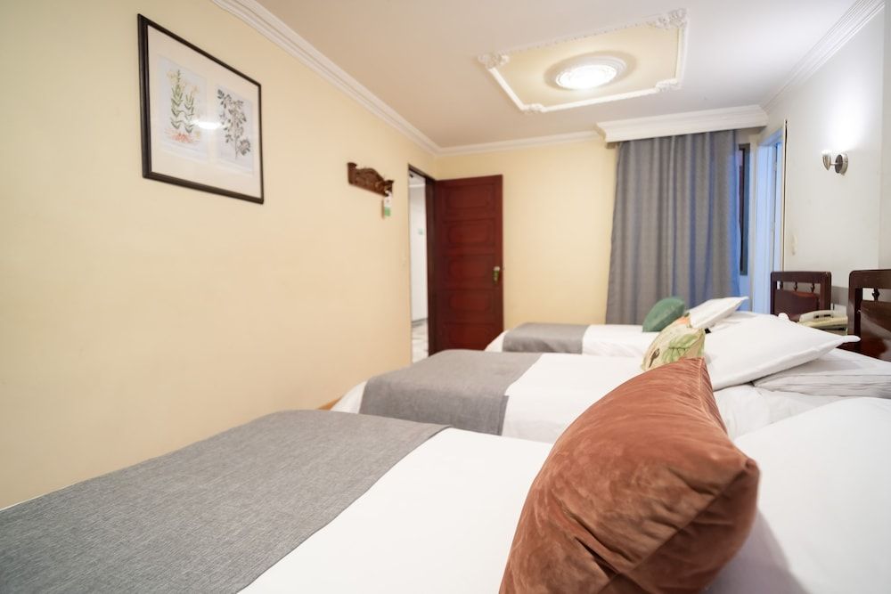 undefined Hotel Virrey Central 9