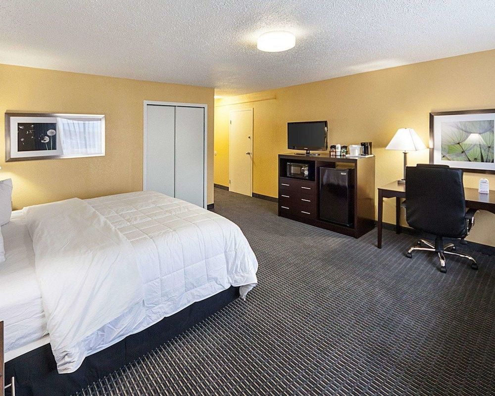 Deluxe Room, 1 King Bed with Sofa bed (2 Person Sofa Bed)