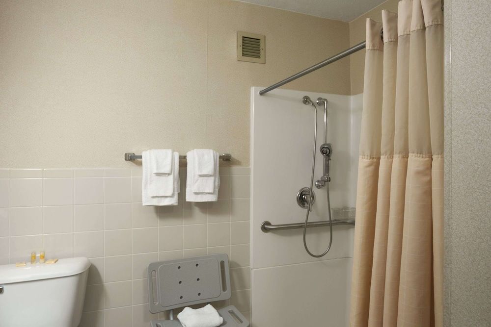 Room, 1 King Bed, Accessible, Non Smoking (Mobility, Roll-In Shower)