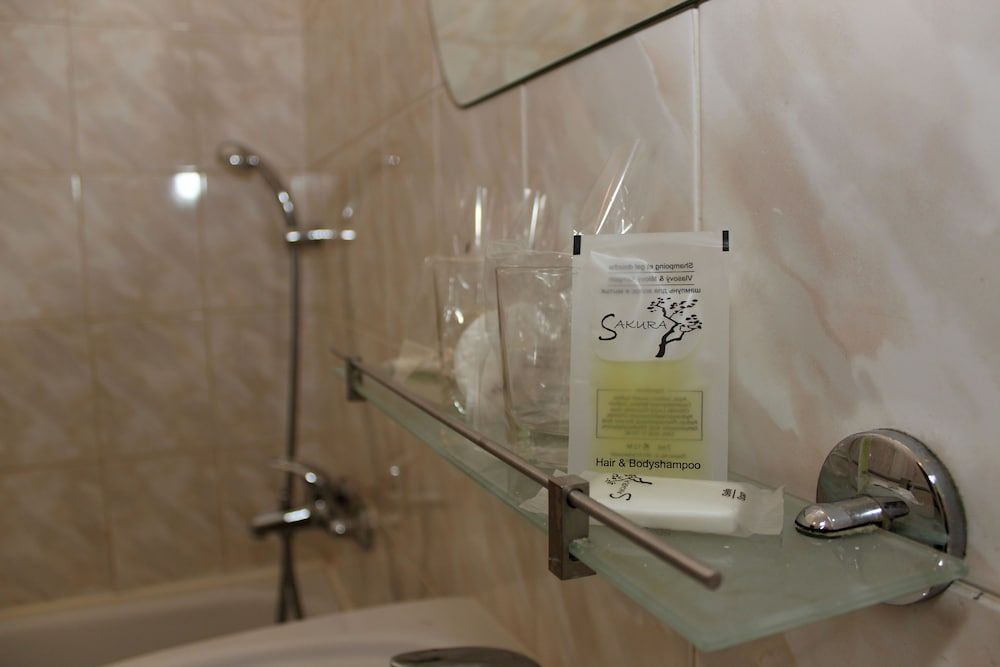 Hotel Meran Twin Room 8