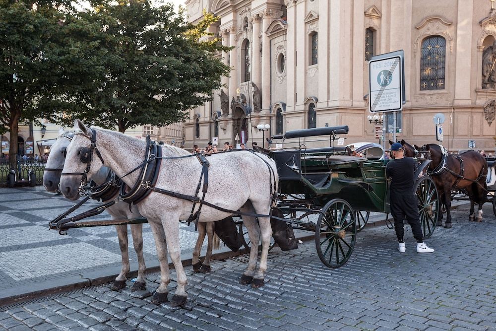 undefined Gorgeous Prague Rooms 5