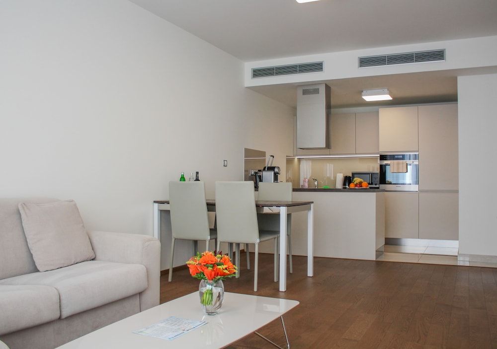 Rezidence Muzeum Luxury Apartment with Living Room and Kitchen 14