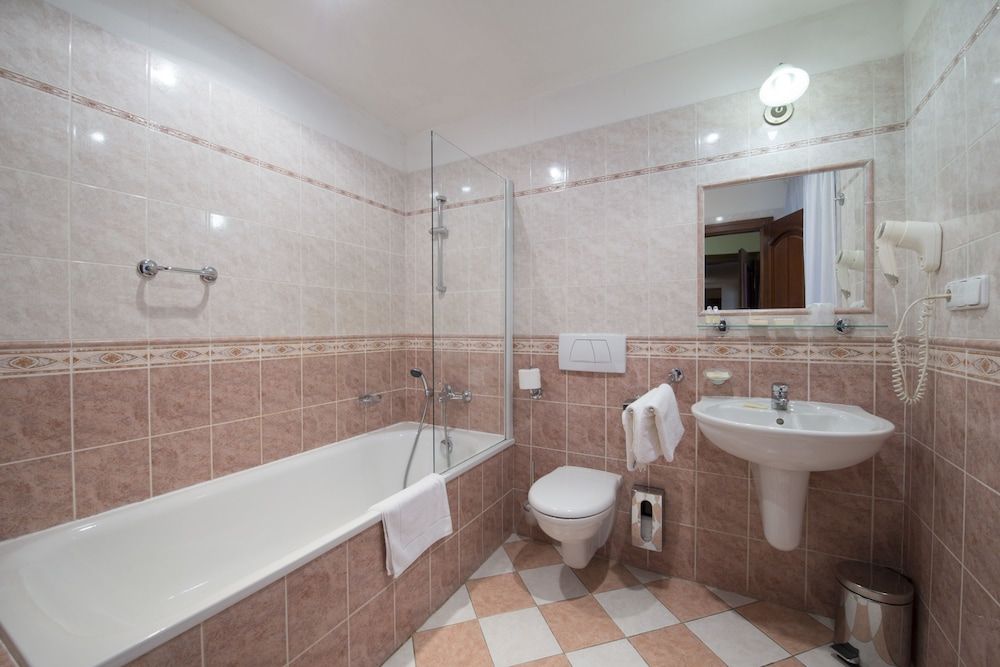 Hotel Černý Slon Double Room 12