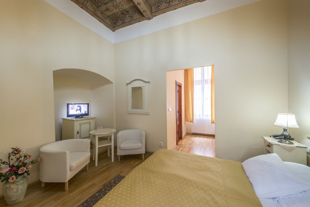 Hotel Černý Slon Double Room 14